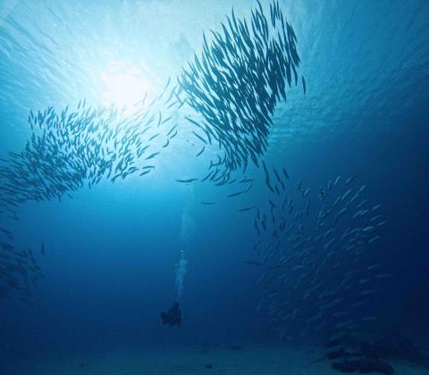 天晴潛水-小江教練 - 放空心靈的好地方