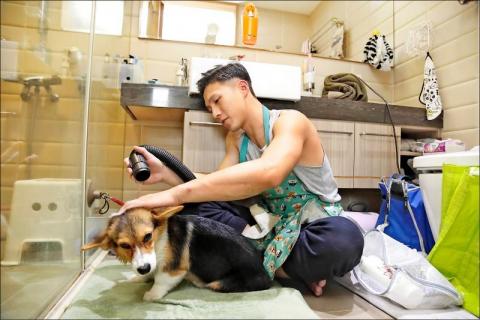 DaddyCare-型男爸爸到府寵物美容 - 雙北、基隆、台中專業到府寵物美容師團隊