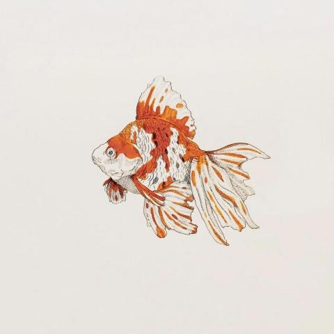 廖郁琳 - 手繪插畫