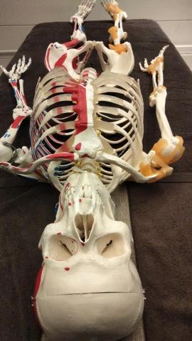 醫武禪-國際身心靈潛能開發療癒中心 - 