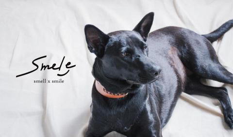 YunYuan - 品牌設計/商業攝影