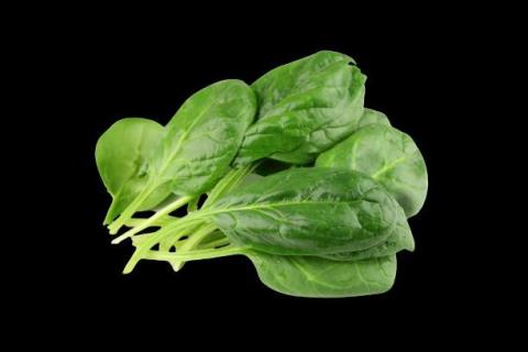 你為什麼不問問神奇海螺呢 - 