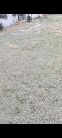 柏君園藝 -  柏君園藝 -