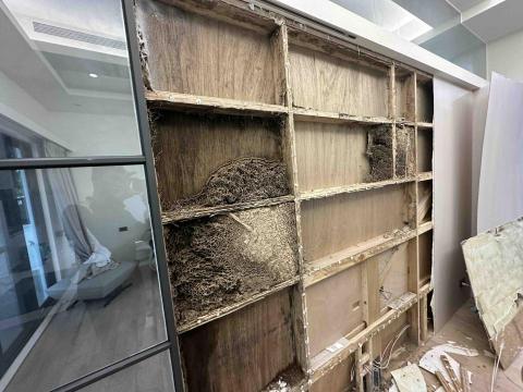 藝橙環保病媒防治 - 