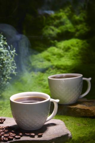 悅心創意(商業攝影師 永逢Nick) -  悅心創意(商業攝影師 永逢Nick) -