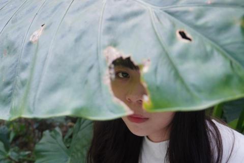 Donut Mister - 攝影作品-1