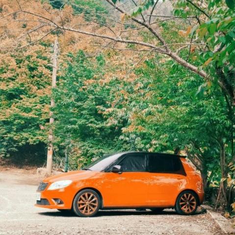 提供專車服務的專家藍迪(駕駛)