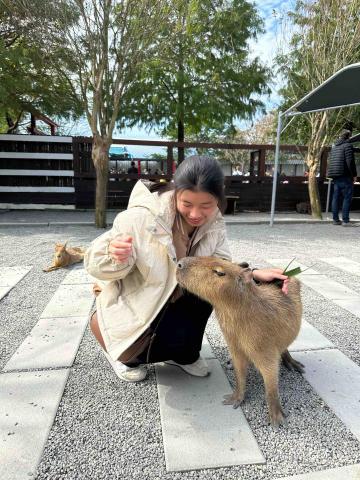 提供台南新秘教學服務的專家陳宛寧