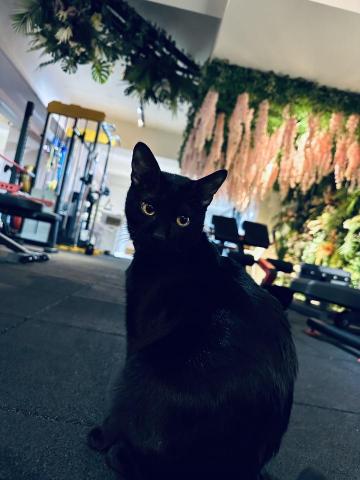 Sevenfitness健身工作室 - 