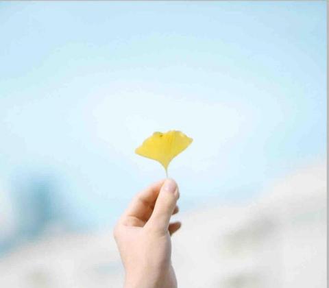 提供便宜旅館服務的專家百漾股份有限公司