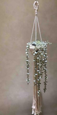 日籽空間macrame編織手作工作室 - 植物吊籃 日籽空間macrame編織手作工作室 - 植物吊籃