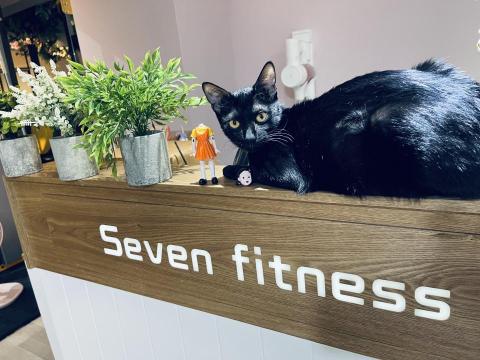 Sevenfitness健身工作室 - 