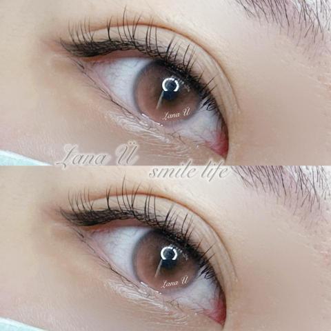 Lana美睫 - 日式單跟