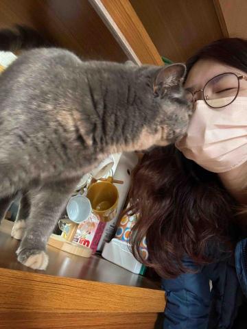 白藍台南到府服務 -  成貓陪伴