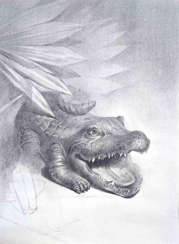 劉晏銘 - 鉛筆靜物素描