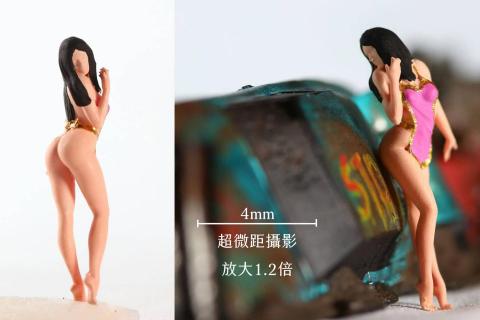 賴劭華 - 微距攝影 | 微縮模型