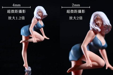 賴劭華 - 微距攝影 | 微縮模型