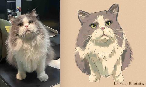 蔡政哲 BJpainting - 寵物速寫