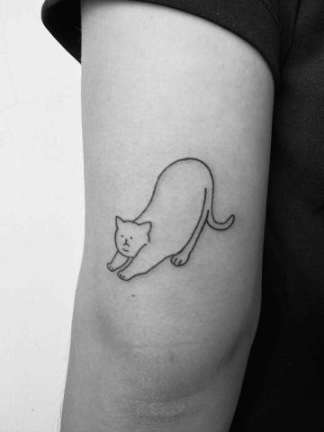 袁志傑 - 伸懶腰貓咪