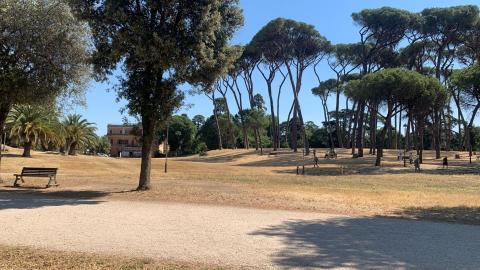 陳韋峰 - 海外教練場地