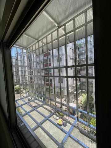 宋若茵 -  宋若茵 -