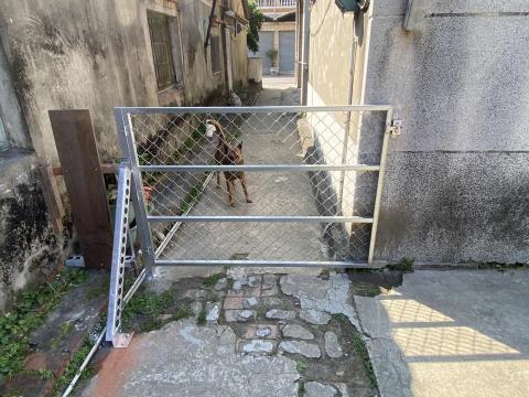 宋若茵 -  宋若茵 -