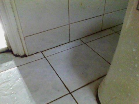 捷倫科技抓漏水電工程 - 馬桶漏水