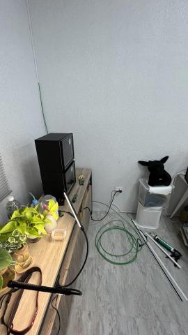 晨忻科技有限公司 - 辦公室CAT6A網路線佈線 晨忻科技有限公司 - 辦公室CAT6A網路線佈線
