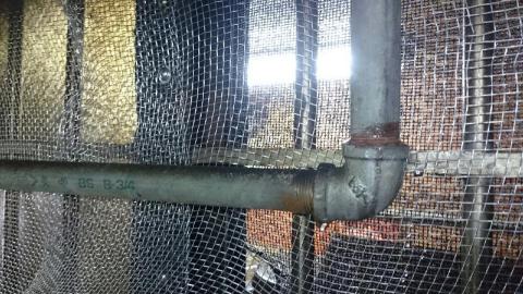 海億專業除蟲有限公司 - 屬害防治封洞