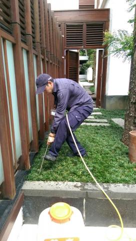 海億專業除蟲有限公司 - 飯店戶外庭院白蟻防治