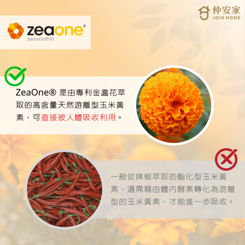 品宣行銷有限公司 -  品宣行銷有限公司 -