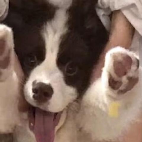 瑀竹 瑀竹