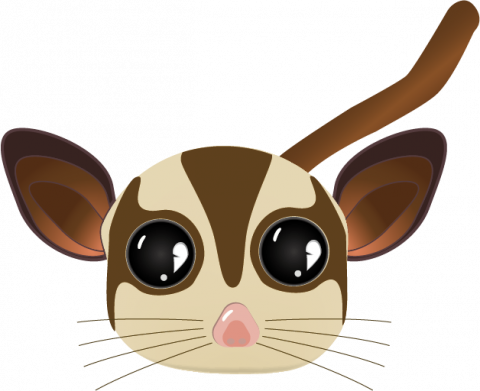 杉若語 - Illustrator--蜜袋鼯