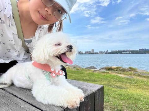 陳慧瑄 - 寵物散步