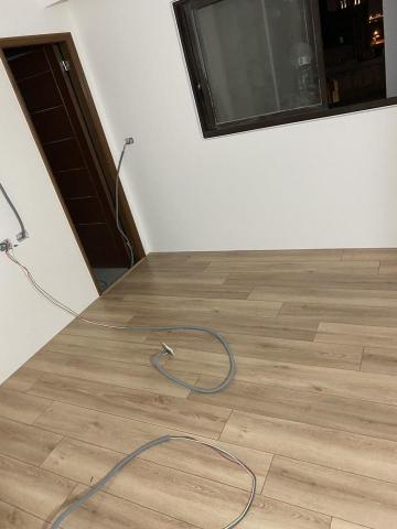 Shin Lai - 波蘭黃橡