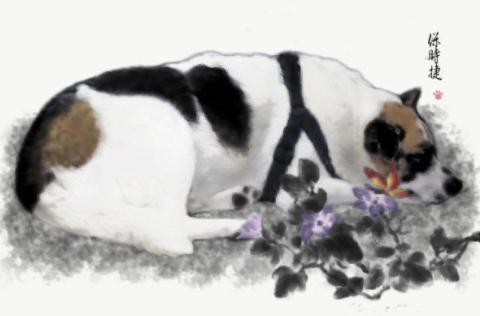 Zheng Jia Xin - 退伍後幫園區狗狗做的卡片