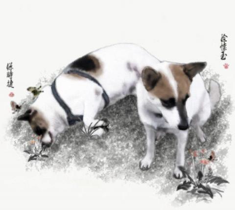 Zheng Jia Xin - 退伍後幫園區狗狗做的卡片