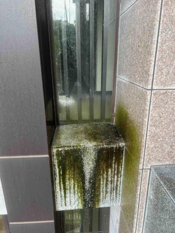 海洛斯企業 - 鹼性藥水青苔清除（前）