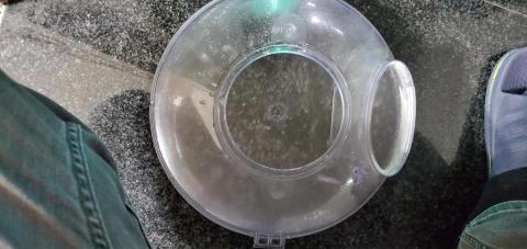 沅盛專業除蟎公司 - 