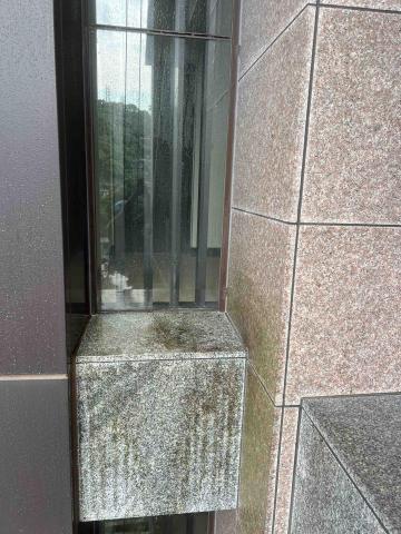 海洛斯企業 - 鹼性藥水青苔去除（後）