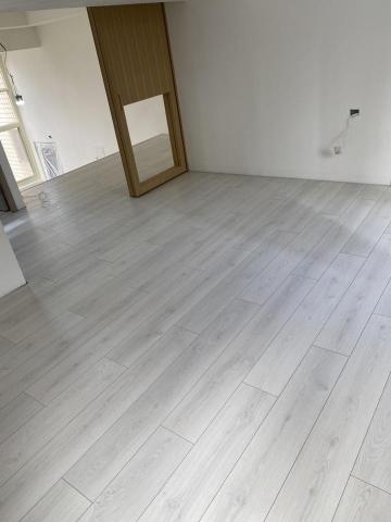 Shin Lai - 波蘭淺白