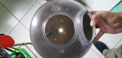 沅盛專業除蟎公司 - 