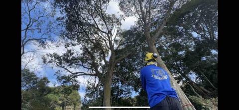 匠人樹木工作室 - 