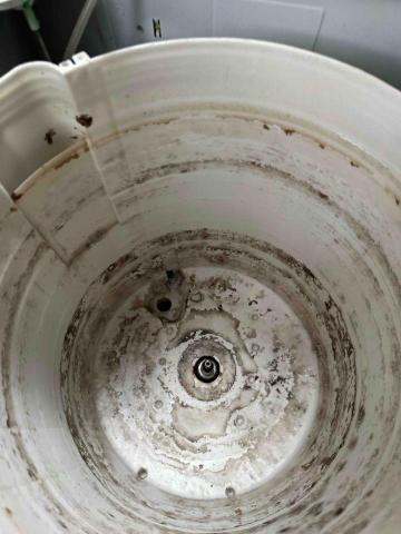 愛美清潔社 - 人 愛美清潔社 - 人