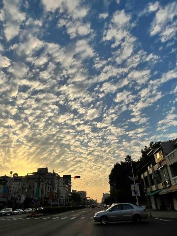 提供台語服務的專家莊 宇庭