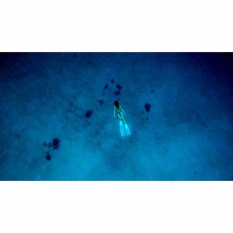 Gavin - 自由潛水跟拍