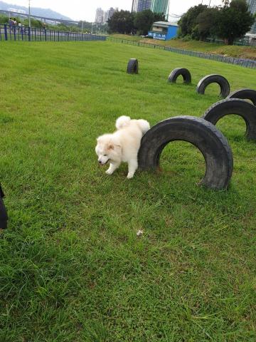 Kathy - 玩耍好開心☺️