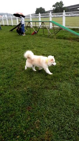 Kathy - 去河濱公園蹓躂?