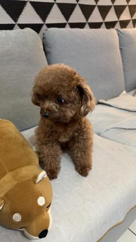 Kathy - 想吃零食
