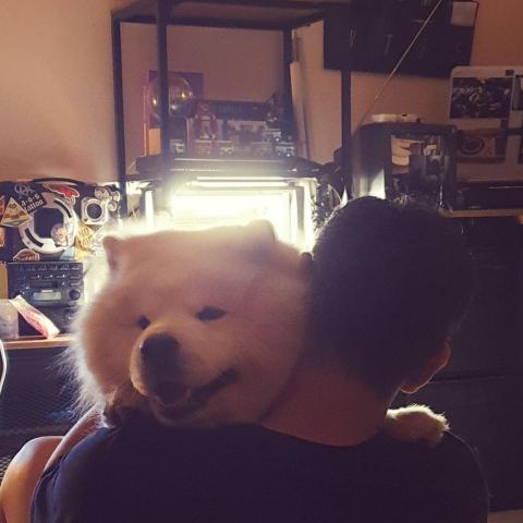 Kathy - 狗狗開心最重要